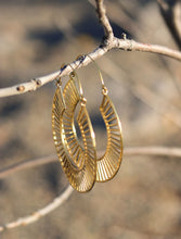 Chandni  Hoop Earrings (Brass)